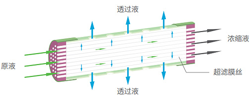 BC贷(中国游)官方网站